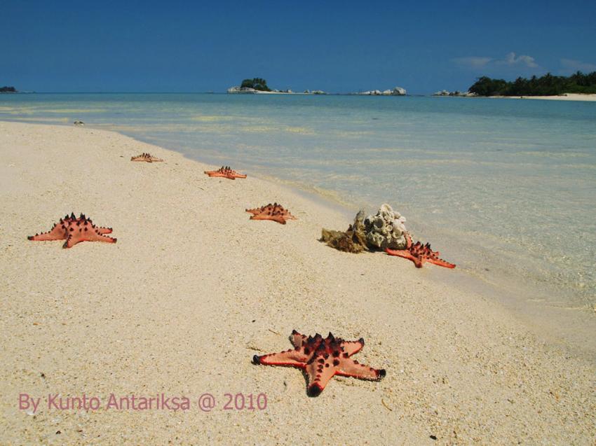 belitung testimony